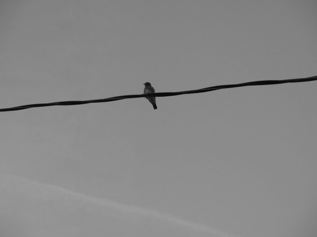 lonely
